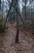 NH_Bartrc_Lake M_002