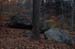 NH_Bartrc_Lake M_008