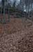 NH_Bartrc_Lake M_014