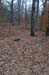 NH_Bartrc_Lake M_020