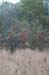 NH_Bartrc_Lake M_021