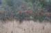 NH_Bartrc_Lake M_022
