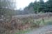 NH_Bartrc_Lake M_025