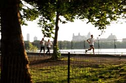 central park 1