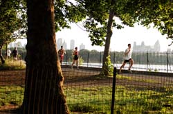 central park 3