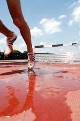 hurdle jump 2.9