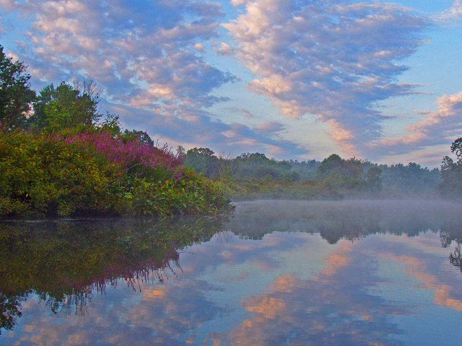 Charles at dawn 2