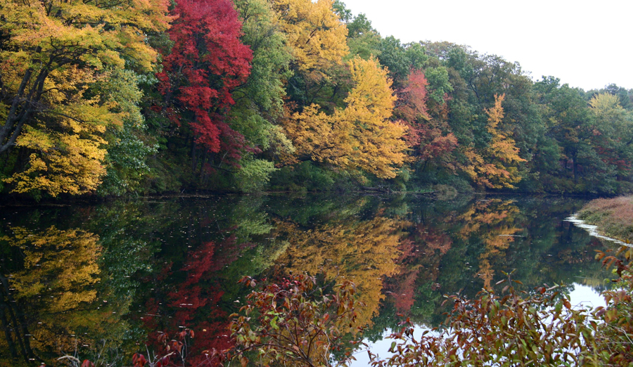 Charles in fall 2
