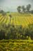 MediaBakery_DVP0109818