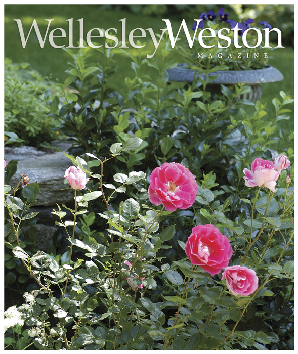 wwm.cvr_spring07.4