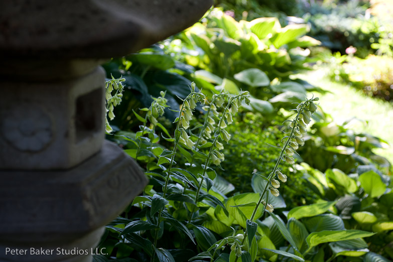 _DSC9762