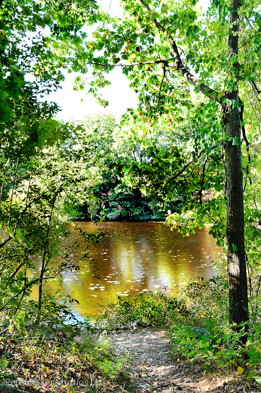 Longfellow Pond 2.1