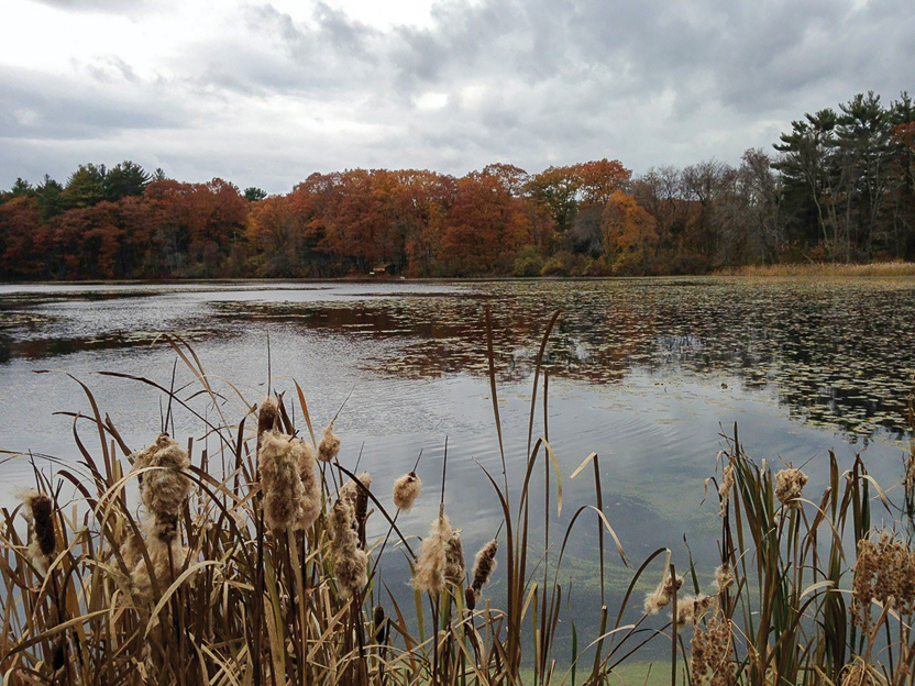 College pond